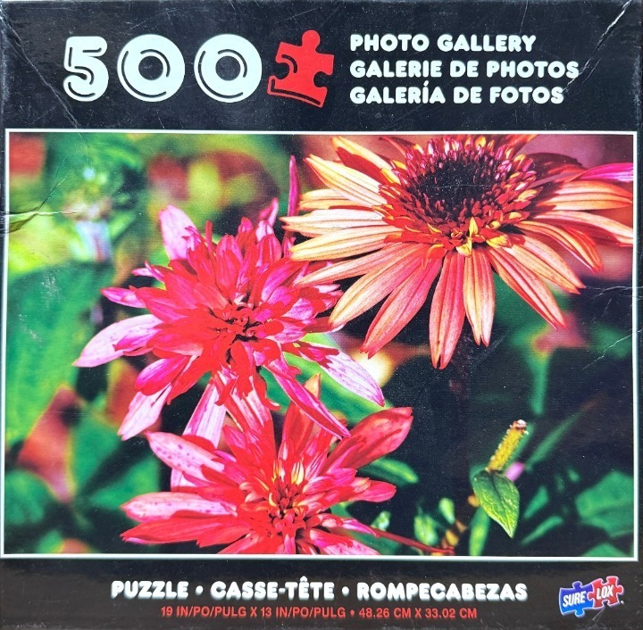 Macro photograph of vibrant pink coneflower-like blossoms against a dark green leafy background.
