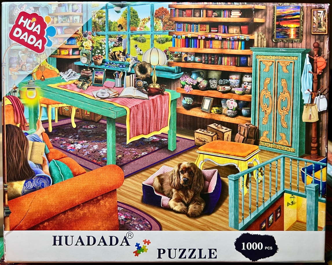 A cozy, vibrant room filled with bookshelves, a desk, an orange sofa, and a dog resting on the floor.