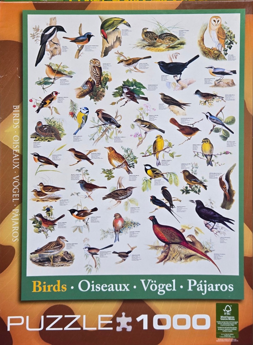 A collection of various bird species illustrated in a scientific field guide style on a white background.
