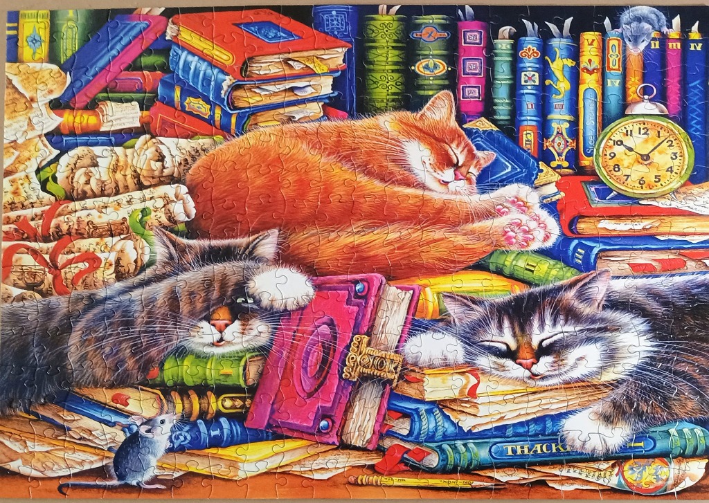 Three cats and a mouse sleeping amongst stacks of vintage, colourful hardcover books and scrolls.