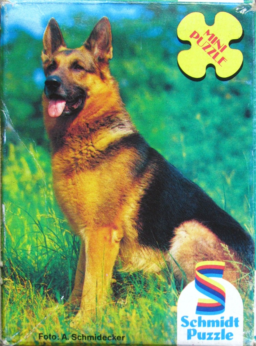 A portrait of a German Shepherd sitting in a grassy field.