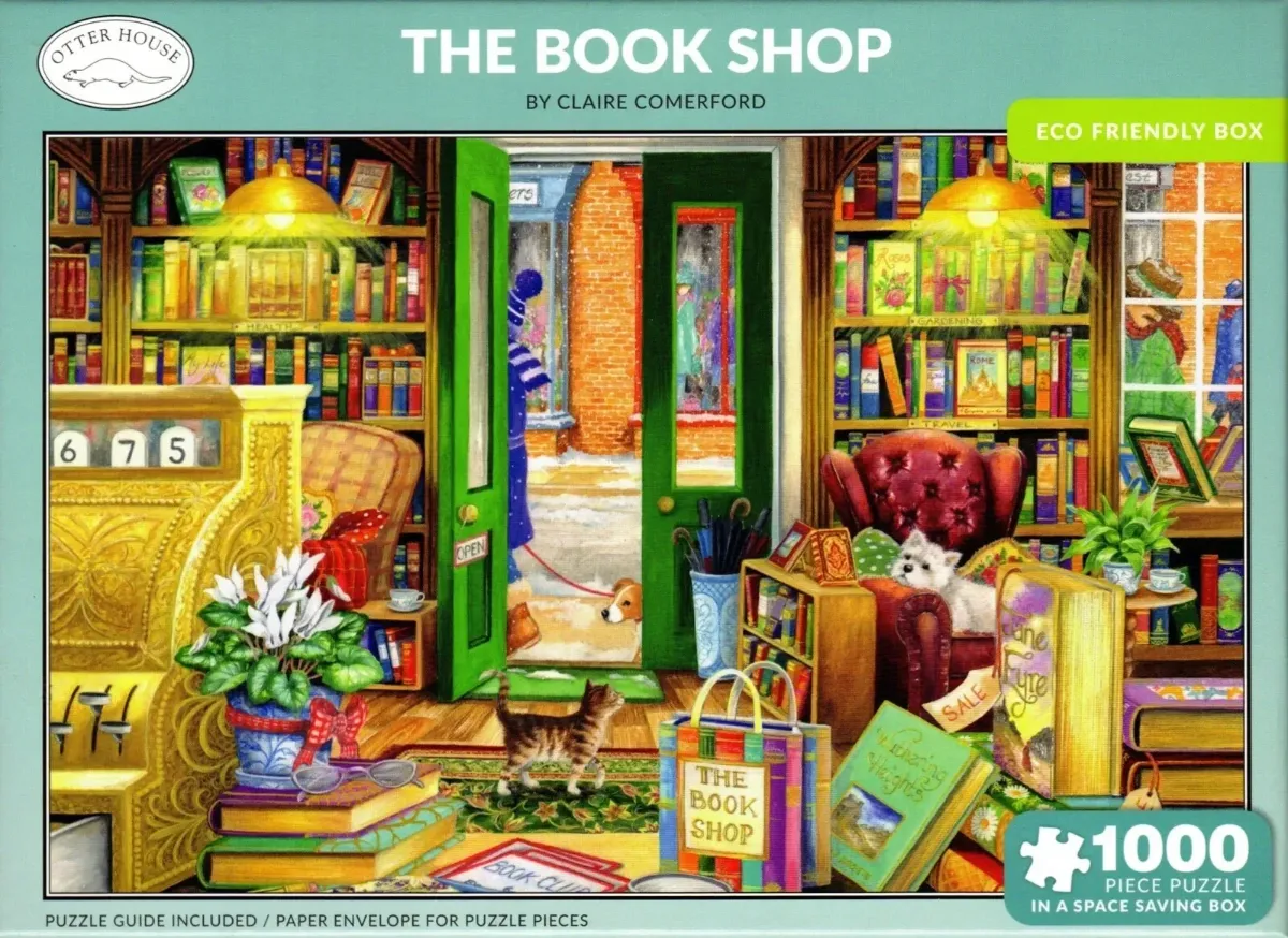 Illustration of a cozy bookshop interior with shelves, a cat, and a view of a snowy street outside the open door.