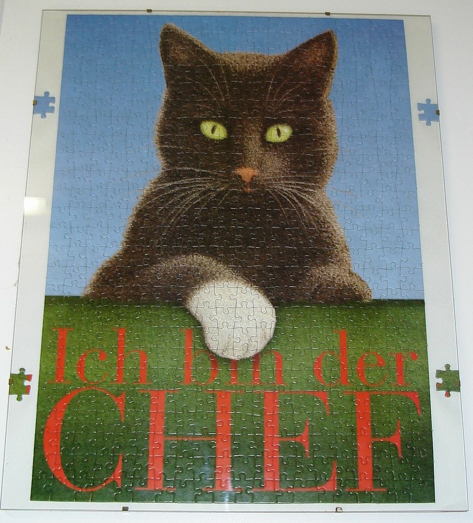 An illustration of a black cat with one white paw resting on a green table with text that says Ich bin der CHIEF.