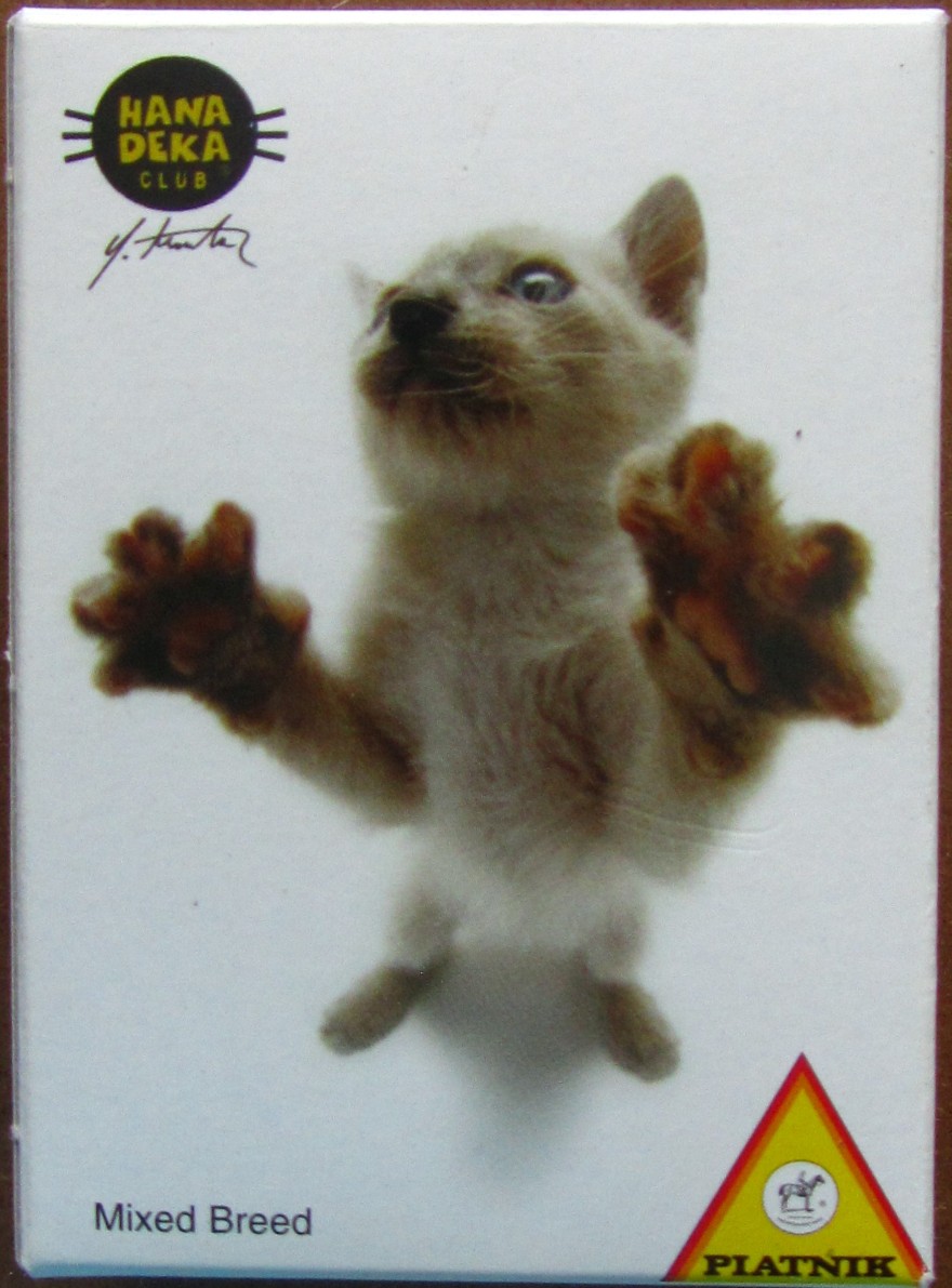 A close-up photograph of a light-colored kitten with its paws pressed against a glass surface.