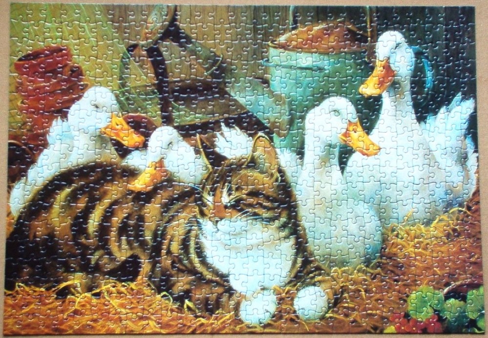 A tabby cat resting among white ducks in a farm shed