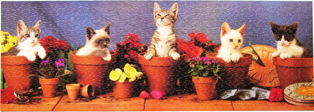 Five kittens peeking out from terracotta flower pots in a garden setting.