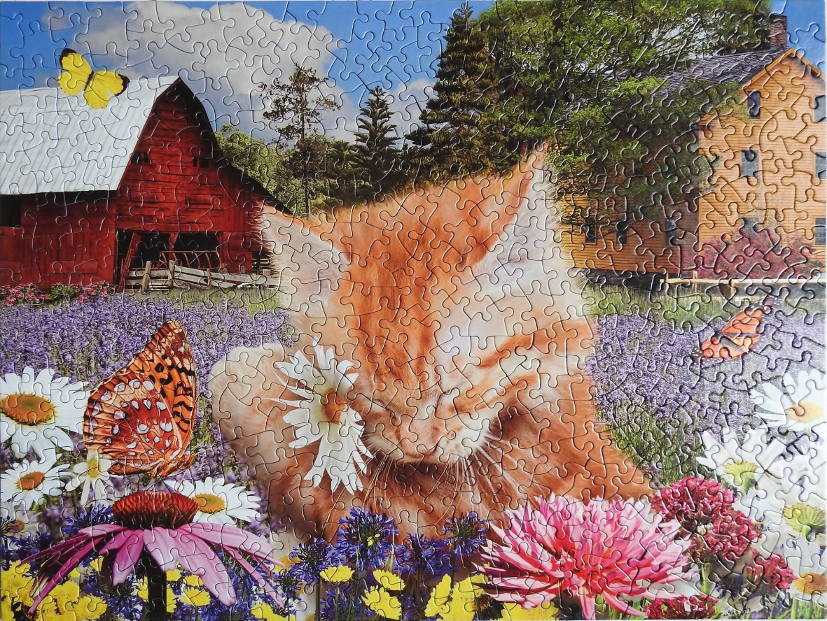 A close-up of a ginger cat in a flower garden with a red barn in the background.