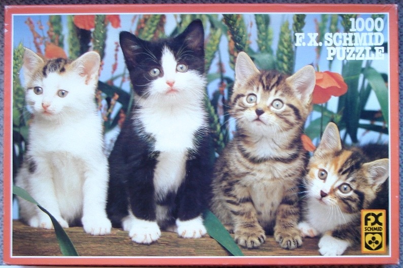 Four kittens of different colors sitting together on a log in a garden setting.