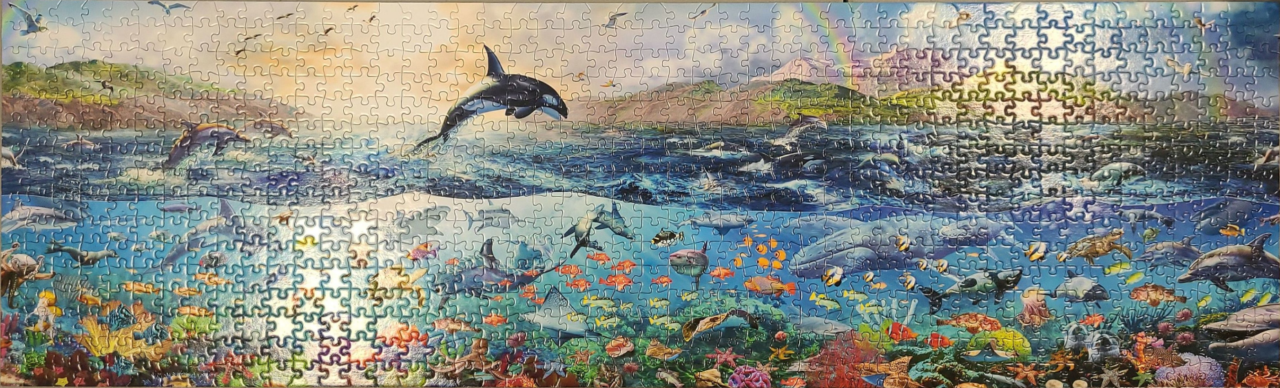 Panoramic illustration of a vibrant ocean scene featuring whales, dolphins, and diverse marine life above and below water.