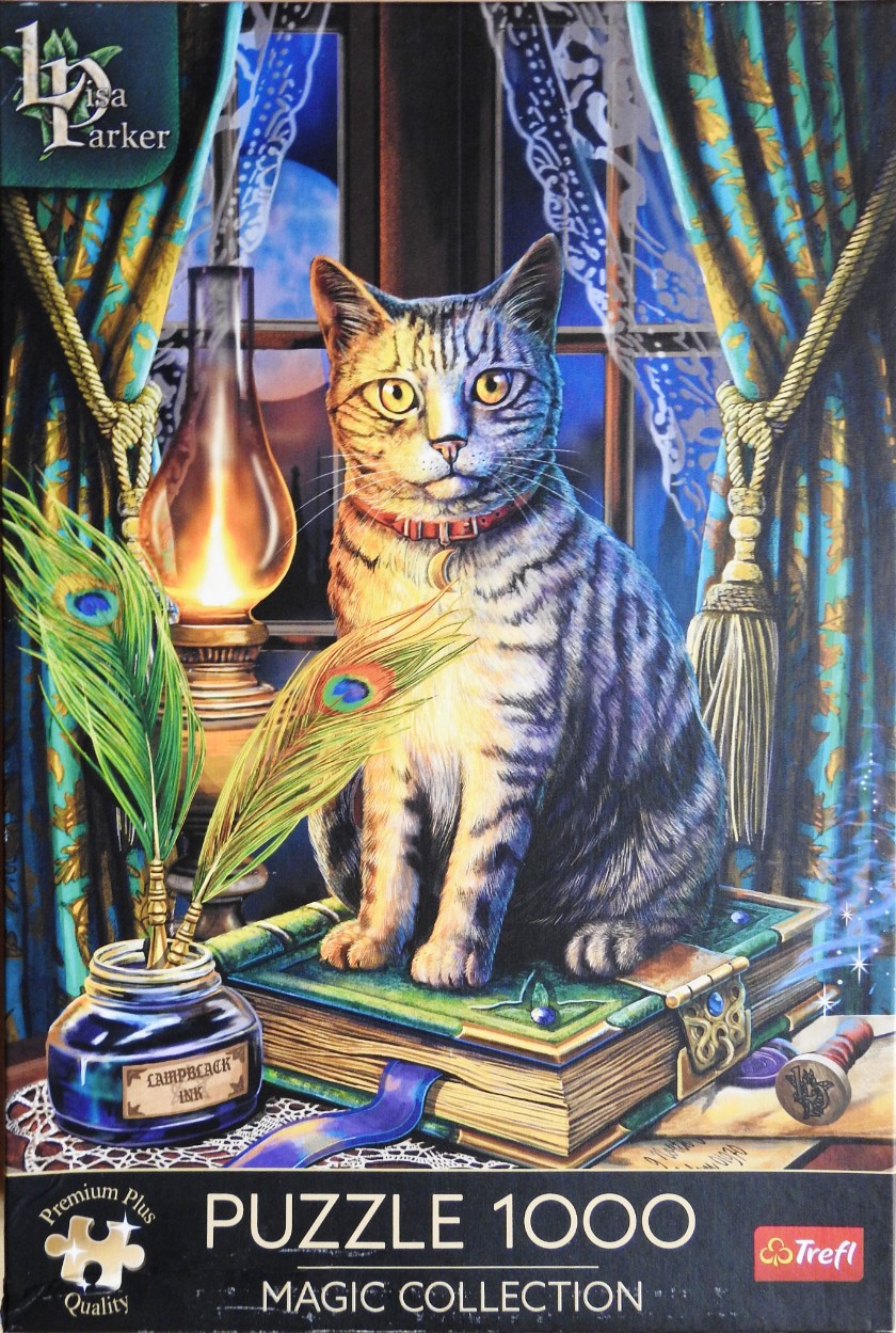 A tabby cat sitting on a large, ornate book beside an inkwell and peacock feathers in front of a window at night.
