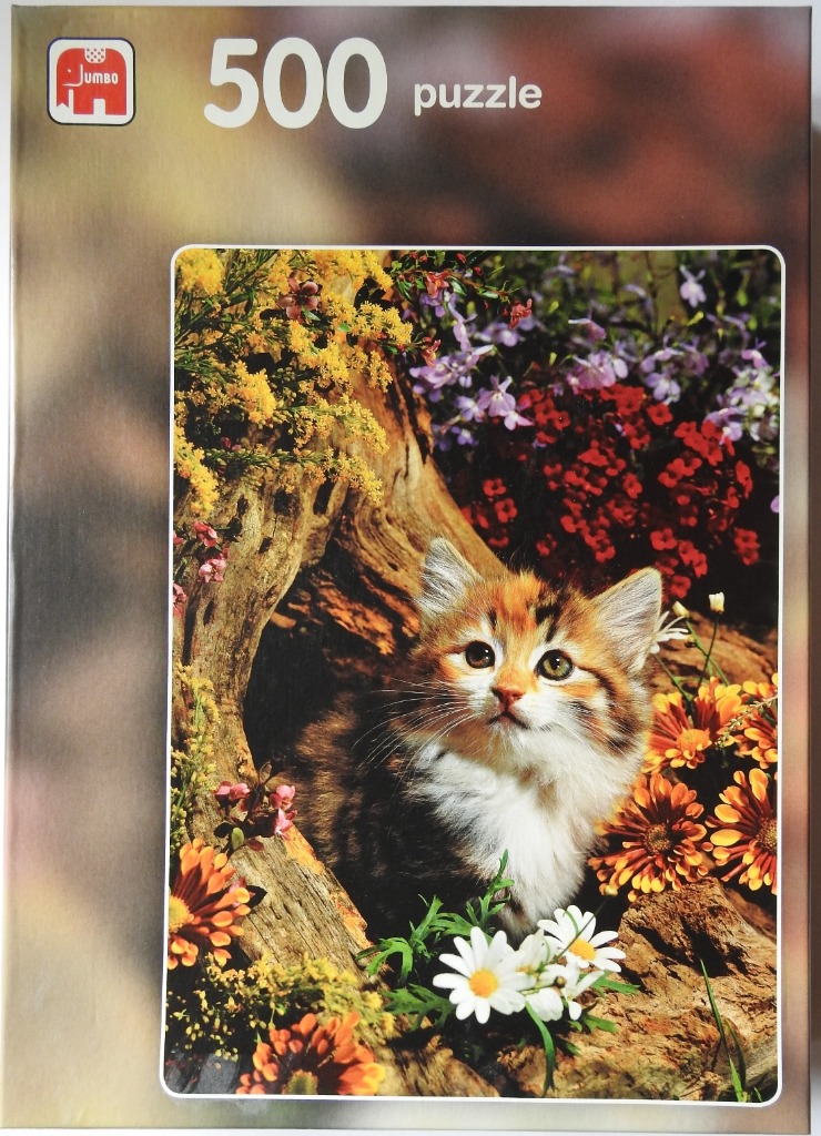 A fluffy calico kitten sitting among vibrant flowers and a weathered tree trunk.