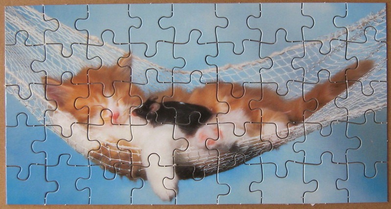 A fluffy ginger kitten and a black hamster sleeping together in a white rope hammock against a blue sky.