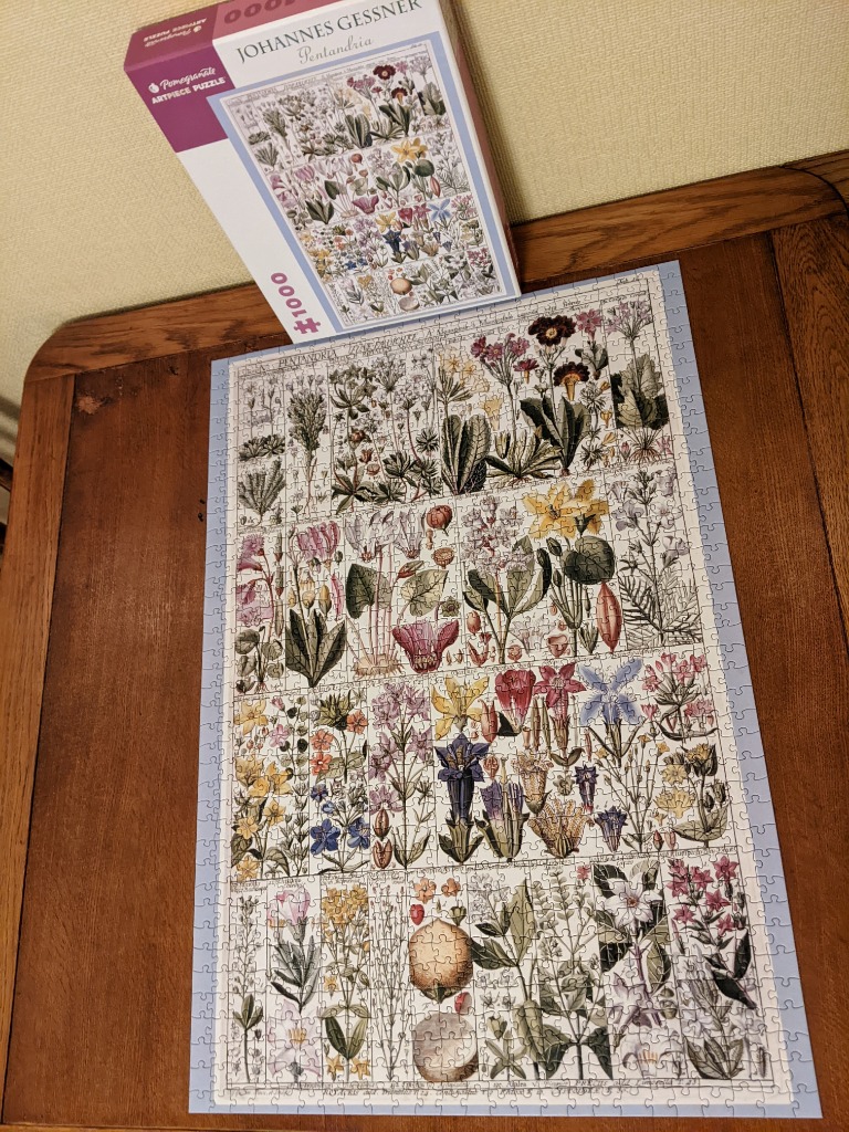 A vintage botanical illustration of Pentandria flowers arranged in a grid-like series of panels.
