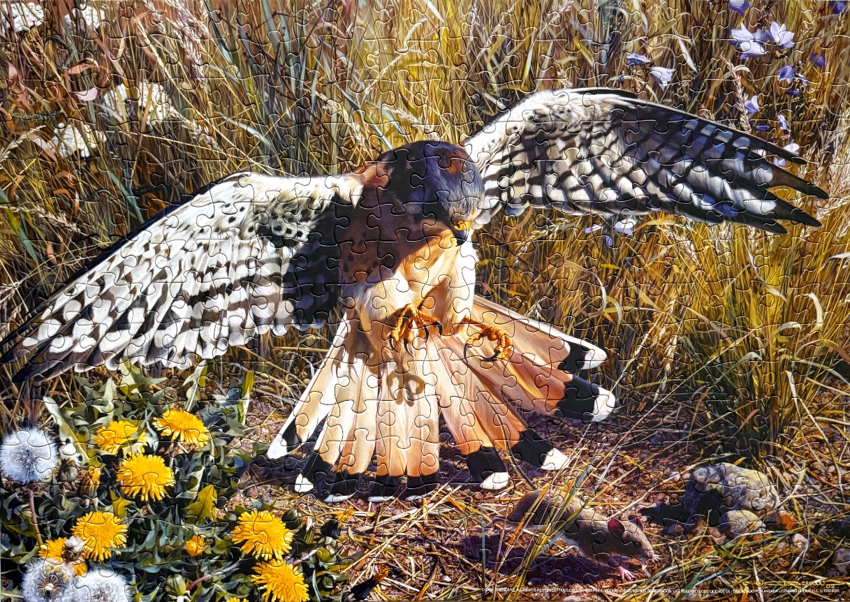 A detailed painting of a falcon swooping down toward a small rodent in a field of golden grass and wildflowers.