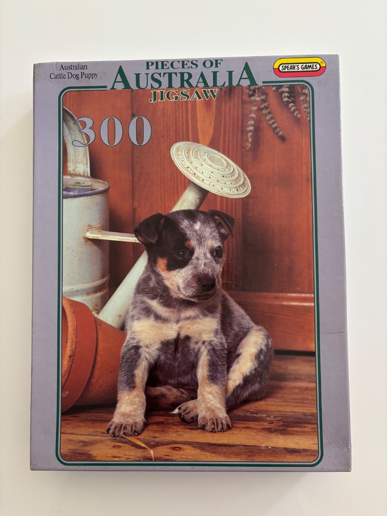An Australian Cattle Dog puppy sitting on a wooden floor next to a watering can and a terracotta pot.
