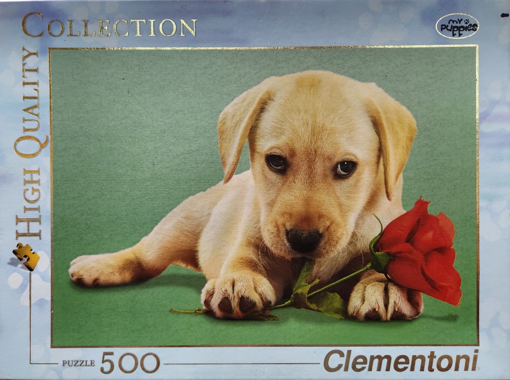 A close-up photograph of a light-colored Labrador puppy lying on a sage green background holding a red rose in its mouth.