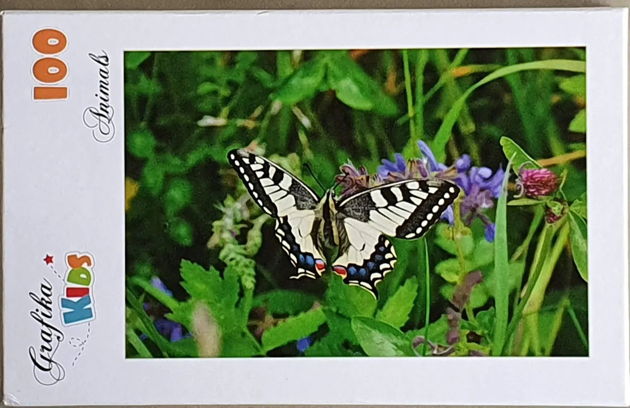 Swallowtail butterfly resting on a patch of green grass and wildflowers