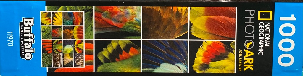 Feathered Fantasies