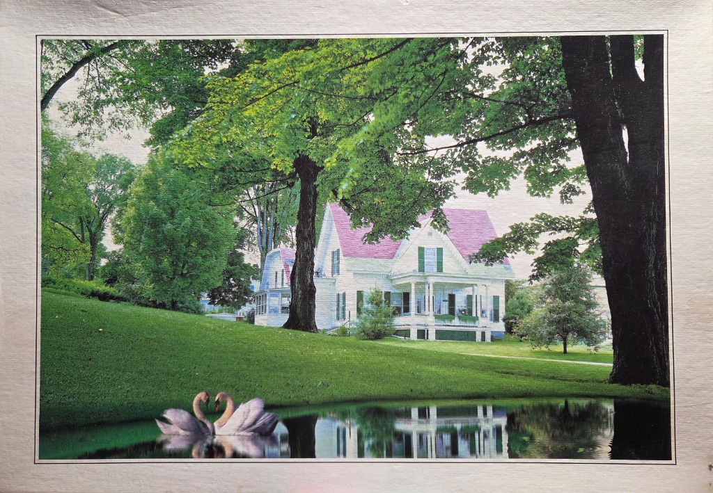 A white Victorian house with a pink roof sits behind a grassy hill with two swans swimming in a pond in the foreground.