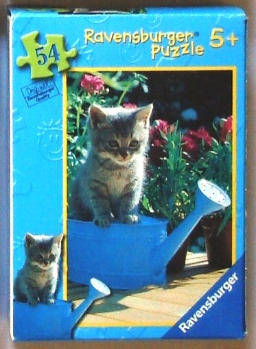 A fluffy grey tabby kitten sitting on a blue plastic watering can in a garden setting.
