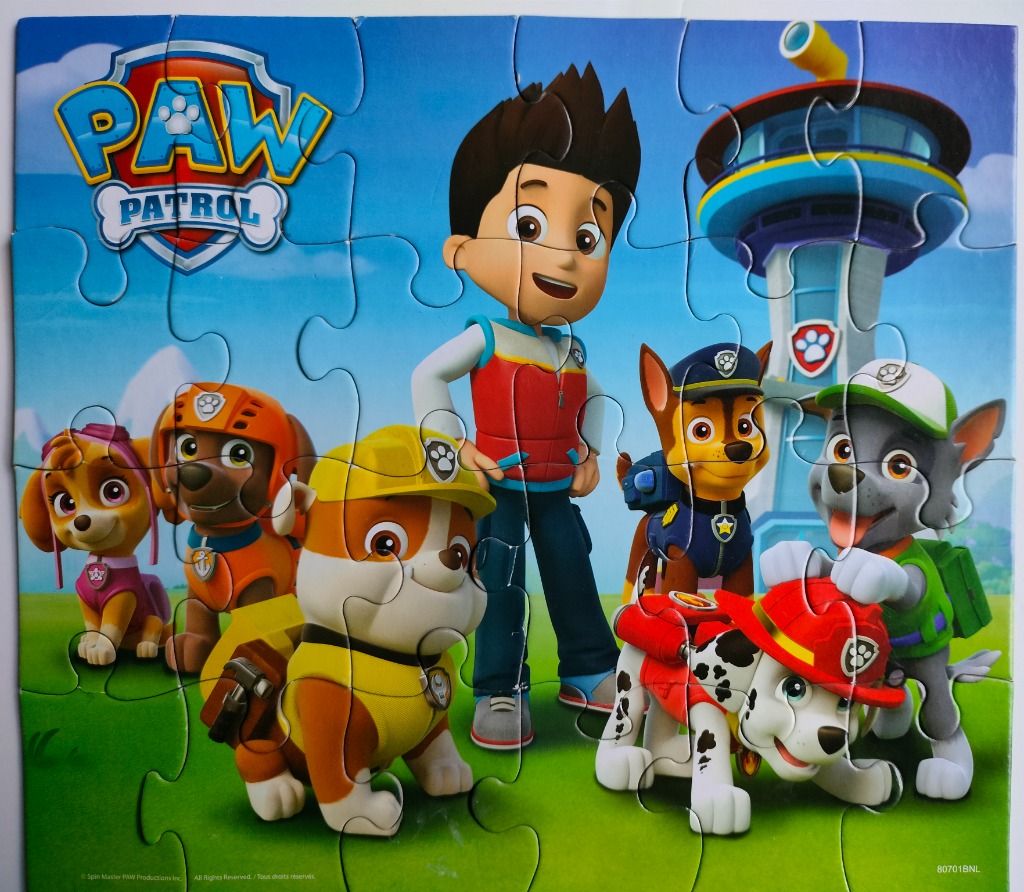 Cartoon characters from the PAW Patrol series standing in front of their lookout tower on a green grassy field.