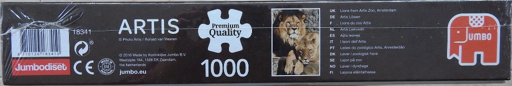 Lions from Artis Zoo, Amsterdam