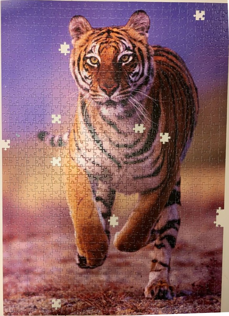 A portrait of a tiger walking toward the viewer against a vibrant purple and orange sunset background.