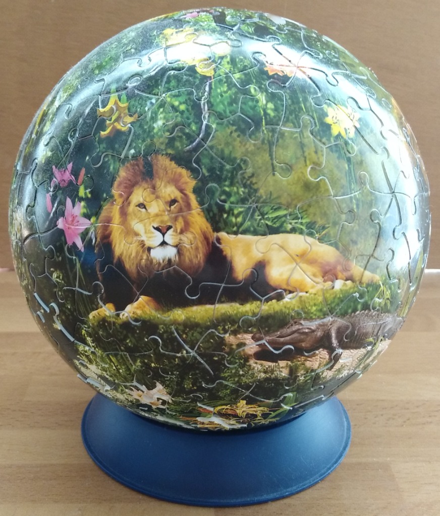 A spherical image showing a lion resting in a lush jungle environment with an alligator nearby.