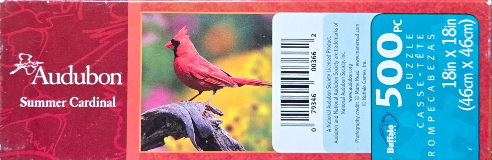 Summer Cardinal