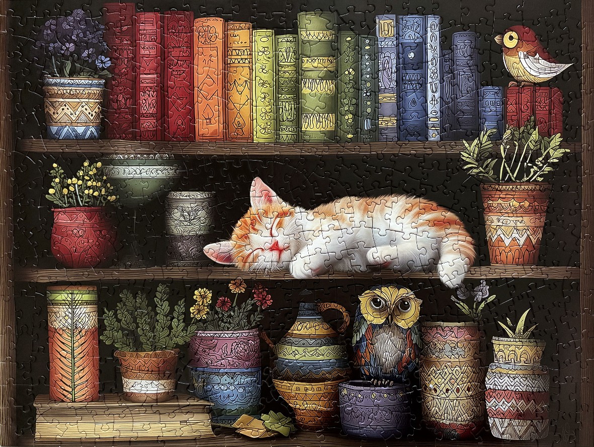 An illustration of a cozy bookshelf filled with colorful books, potted plants, a sleeping orange kitten, and an owl.