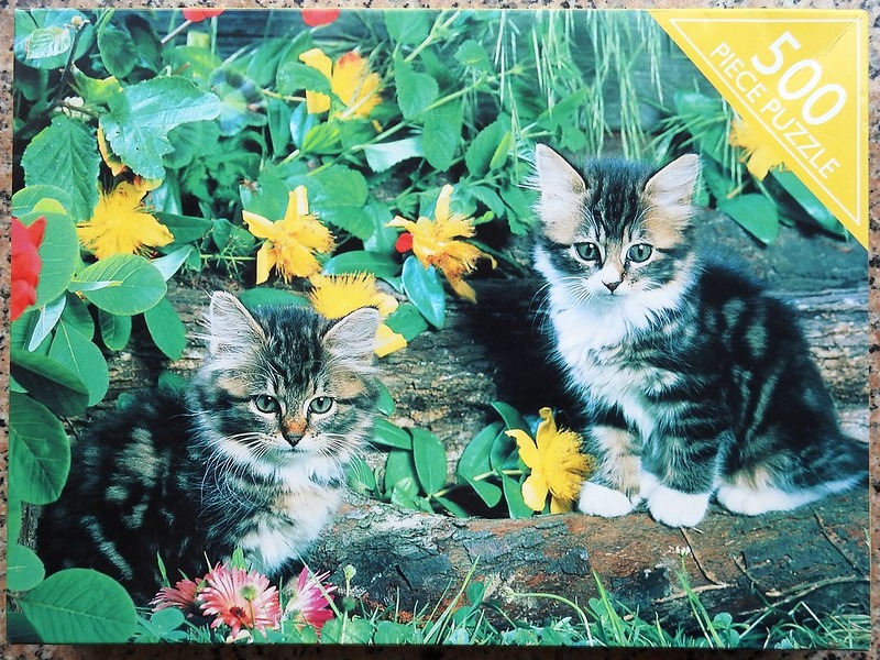 Two fluffy tabby kittens sitting in a garden with green foliage and yellow flowers.