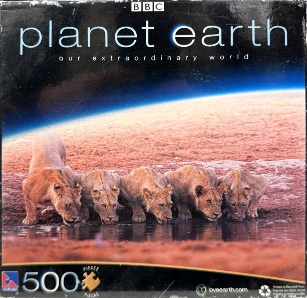 Five lions drinking from a watering hole against a backdrop of a terrestrial landscape and a bright blue horizon.