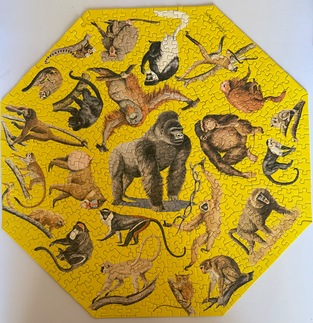 Octagonal illustration of a central gorilla surrounded by various species of monkeys and apes on a bright yellow background