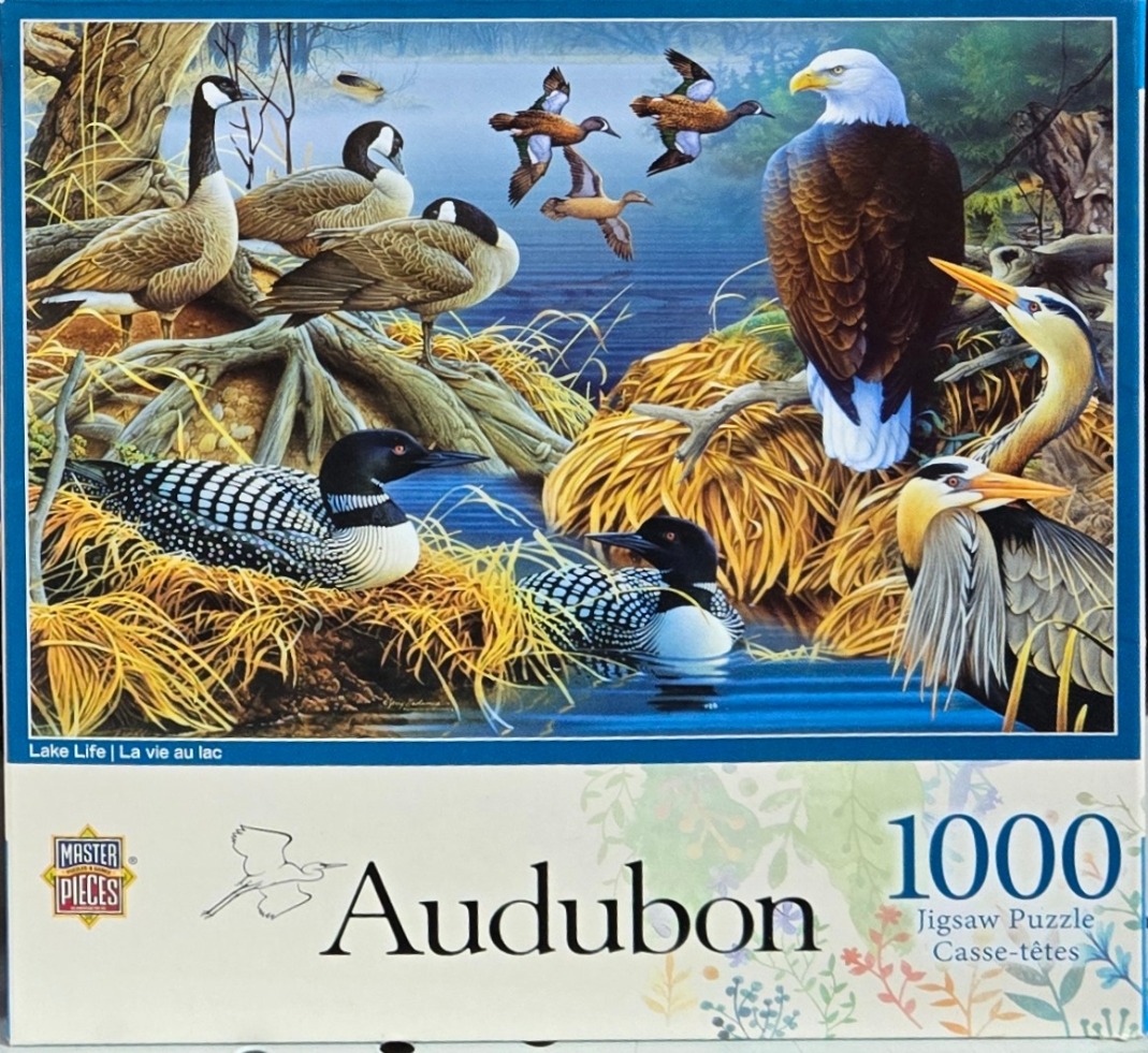A detailed painting of various North American birds, including loons, geese, an eagle, and herons by a misty lake.