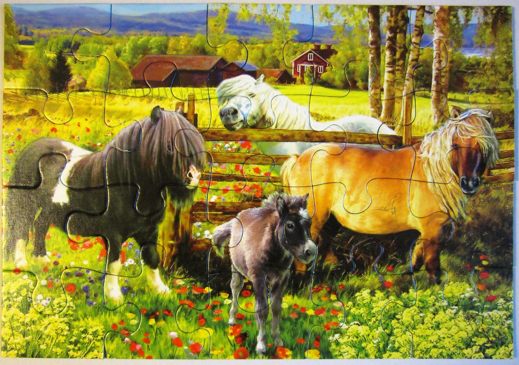 Four Shetland ponies in a lush, wildflower-filled meadow with a farmhouse and mountains in the background.