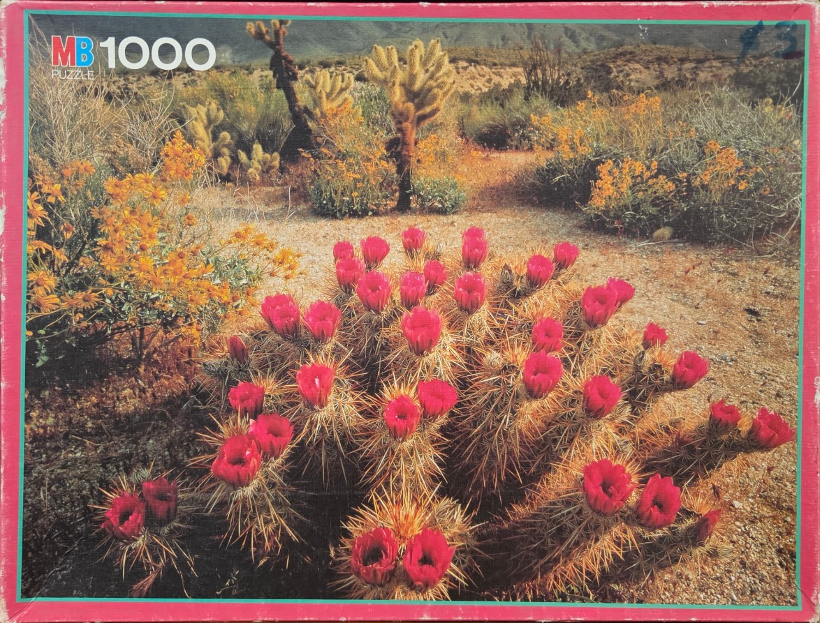 A flowering hedgehog cactus in a vibrant desert landscape with bright pink blossoms.