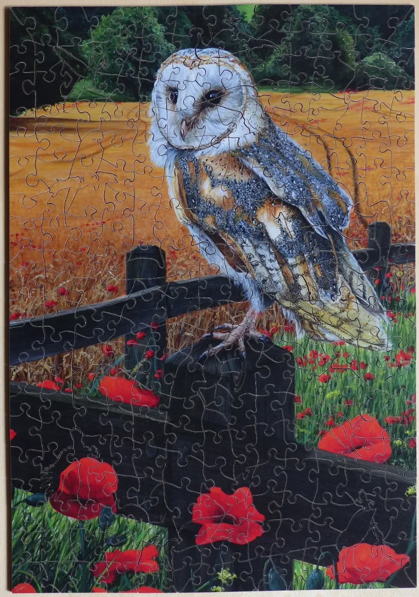 A barn owl perched on a dark wooden fence in a field of golden wheat and red poppies.