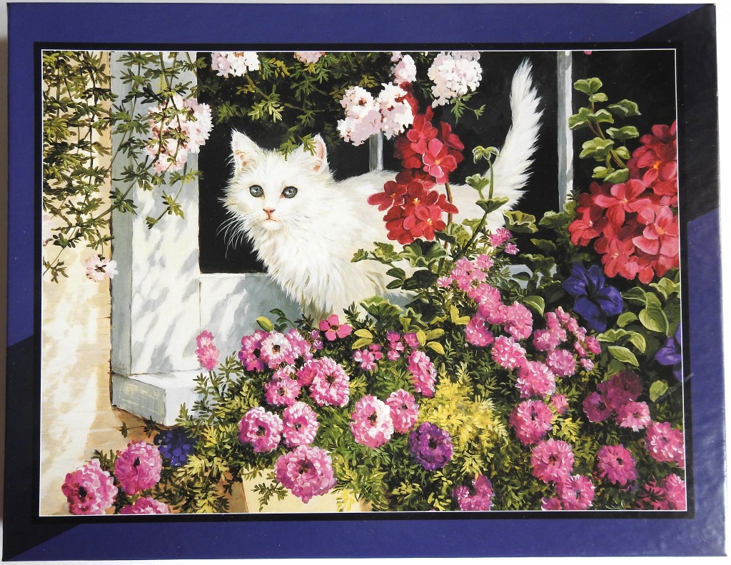 A fluffy white cat looking out of a window surrounded by vibrant pink and red flowers.