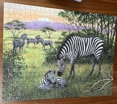A zebra mother and foal in an African savanna landscape at sunset.