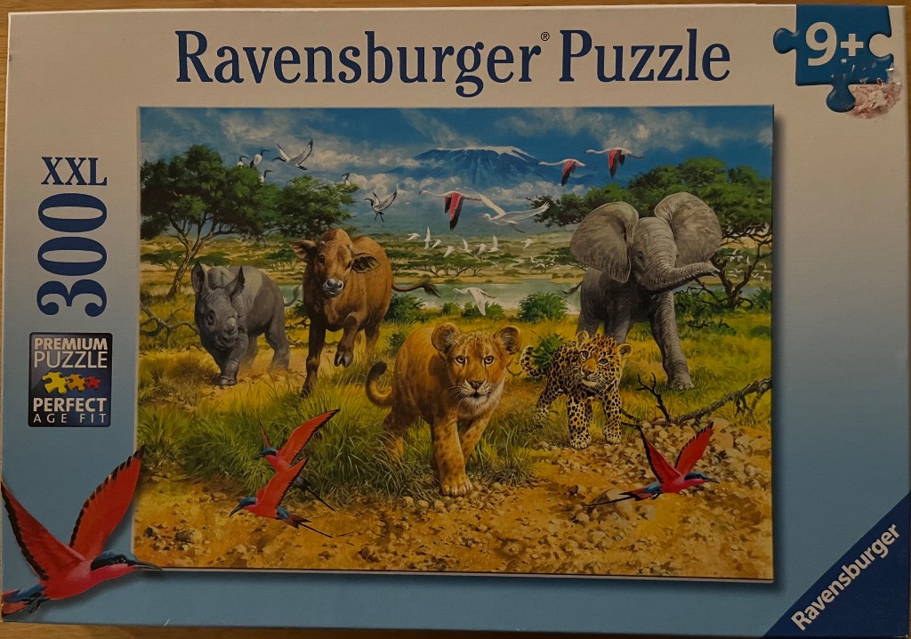 An illustration of various African wildlife including a lion cub, elephant, and birds in a savannah landscape.