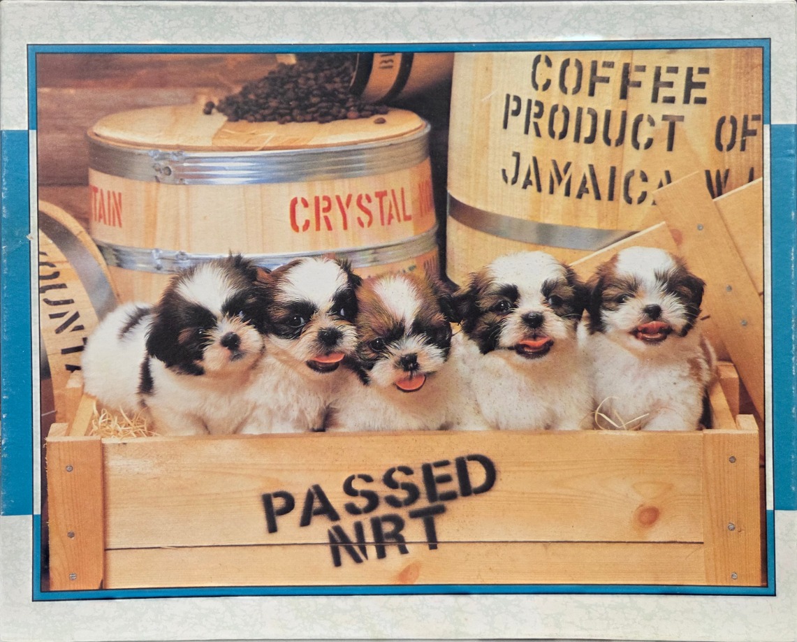 Five Shih Tzu puppies sitting in a wooden crate in front of coffee barrels.