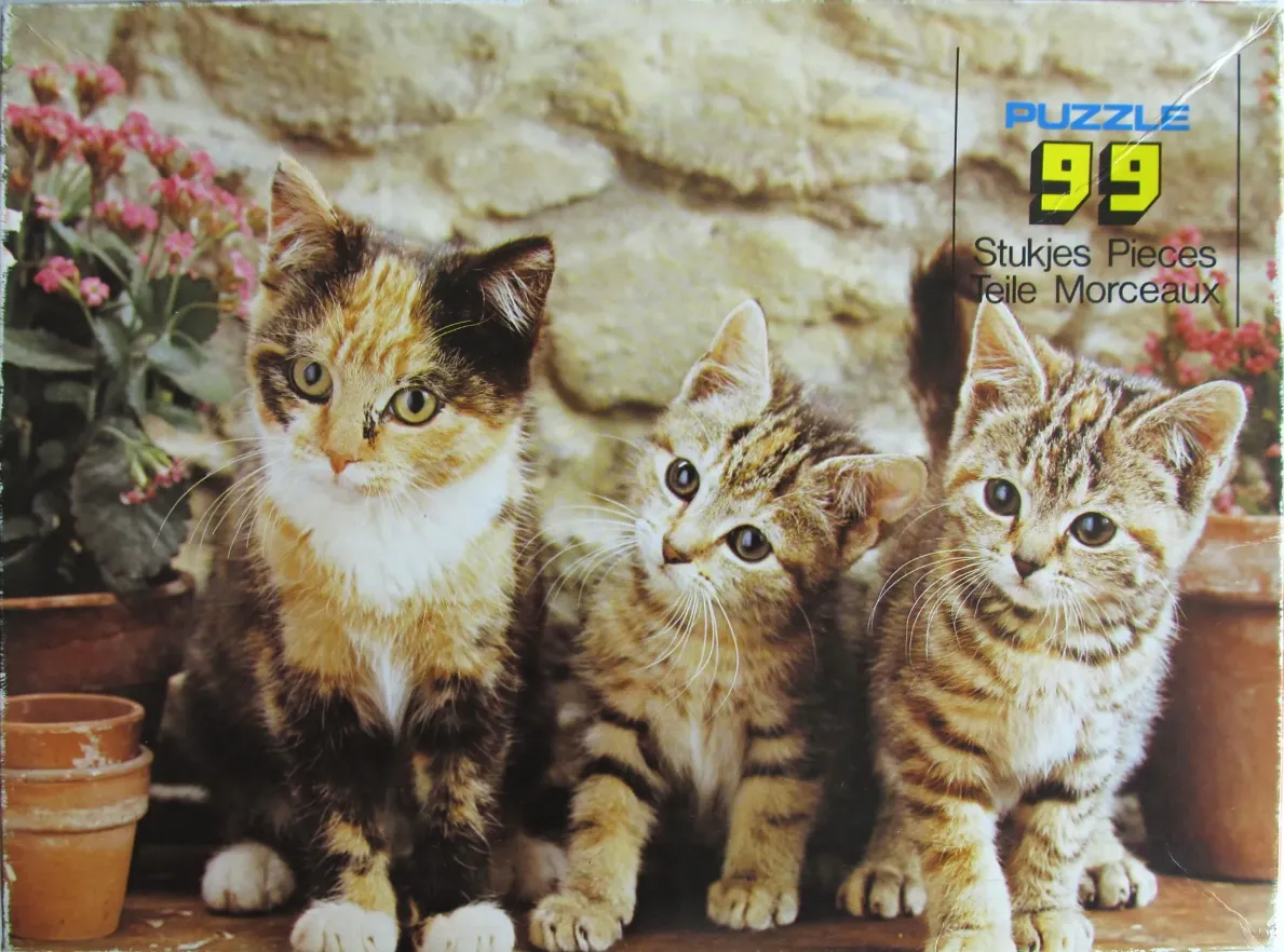 Three kittens sitting together in a row in front of a stone wall and potted flowers.