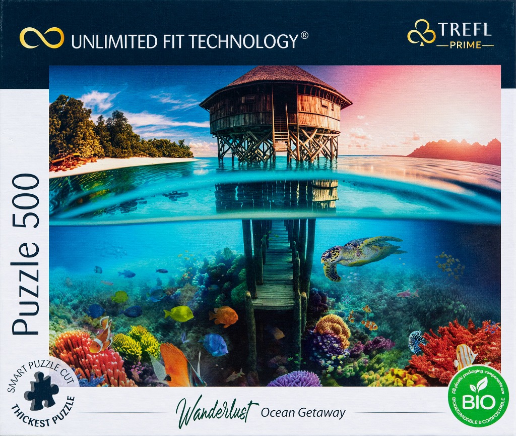 A split-level view of a tropical hut over water and a vibrant coral reef with a sea turtle below.