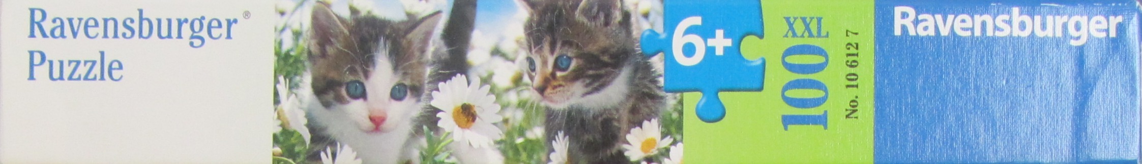 Kitties & Daisies