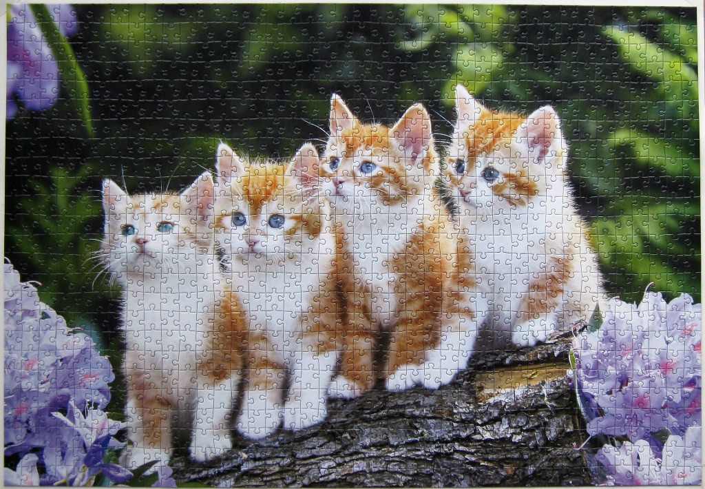 Four orange and white kittens perched on a fallen log in a garden.