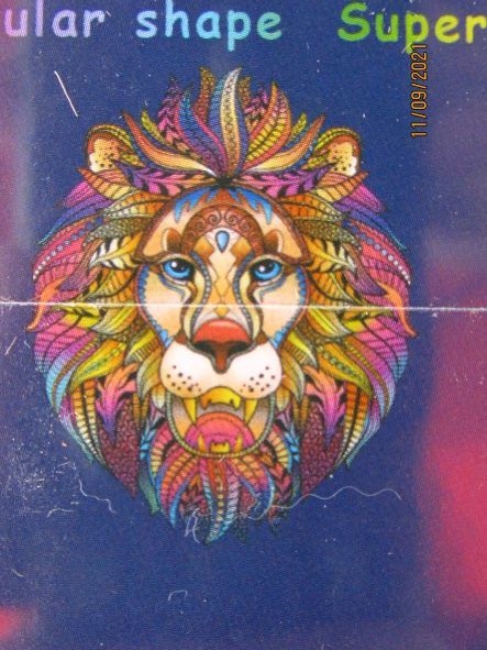 Stylized, colorful illustration of a lion head against a dark blue, speckled background.