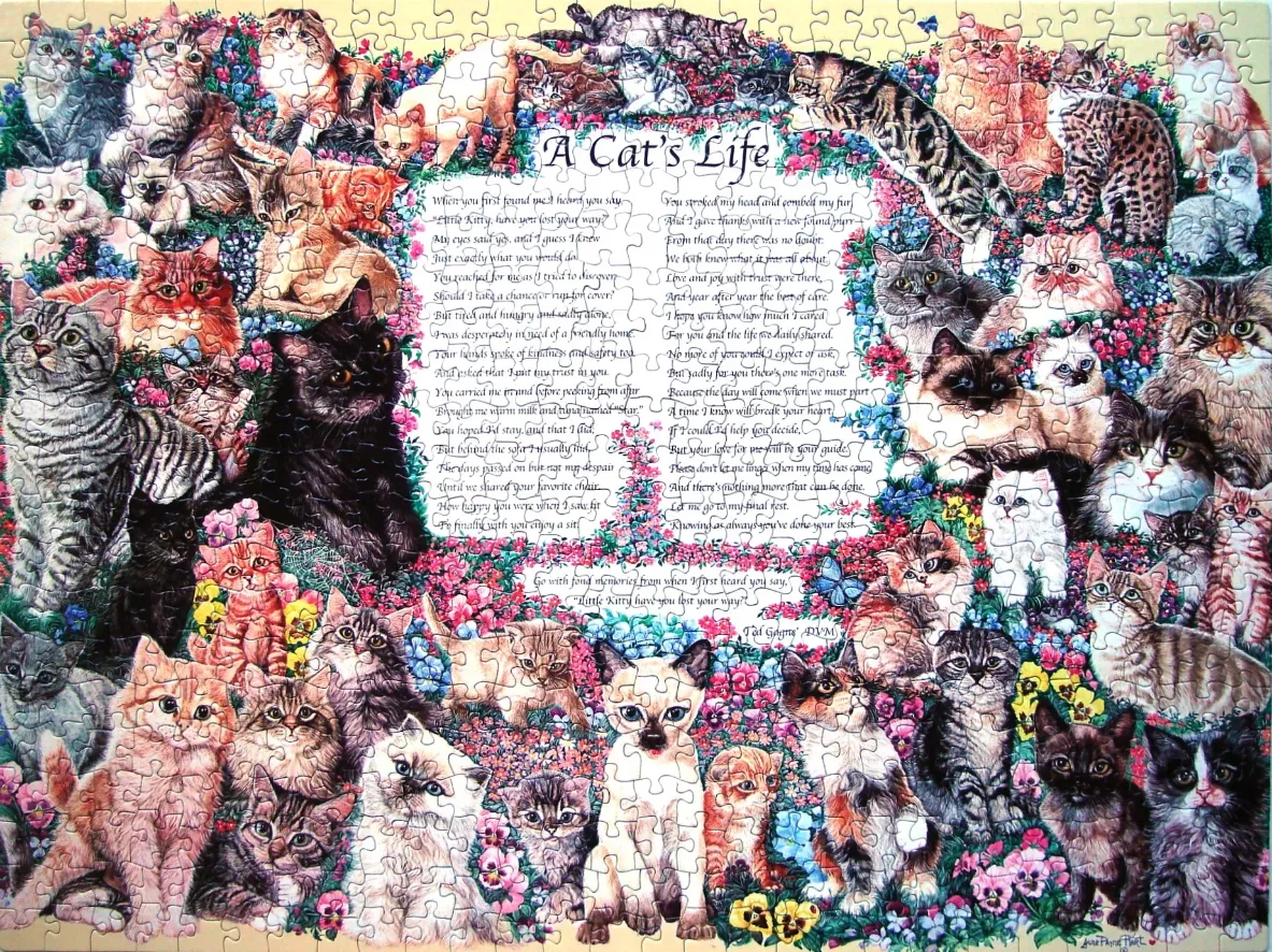 A montage of various cat breeds surrounded by a floral border and centered text titled A Cat's Life.