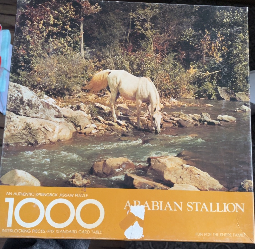 A white horse drinking from a rocky stream in a forest setting.