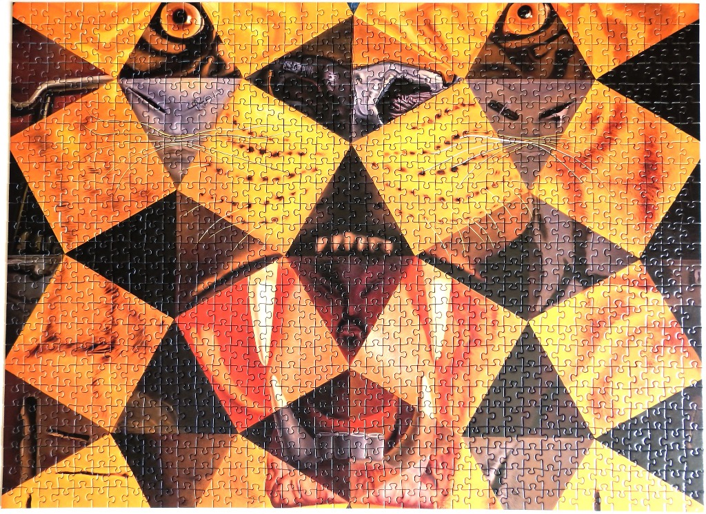 Artistic close-up of a tiger