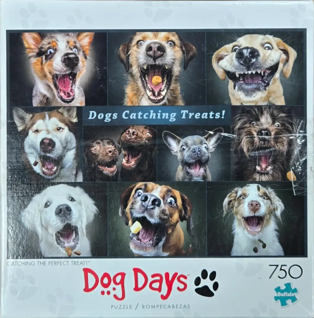 A collage of ten high-resolution, close-up photographs of various dog breeds catching treats in their open mouths.